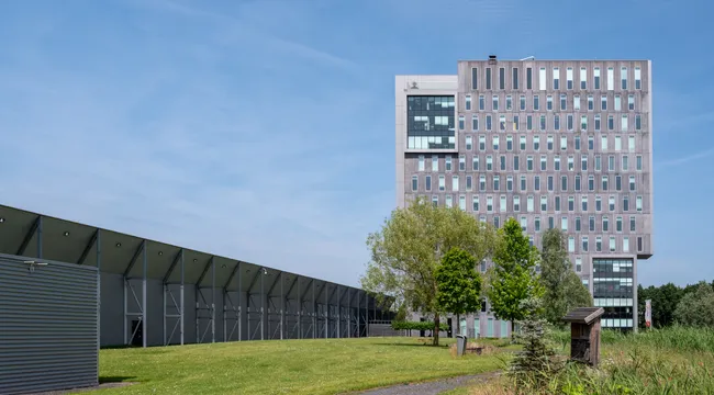 Project illustration