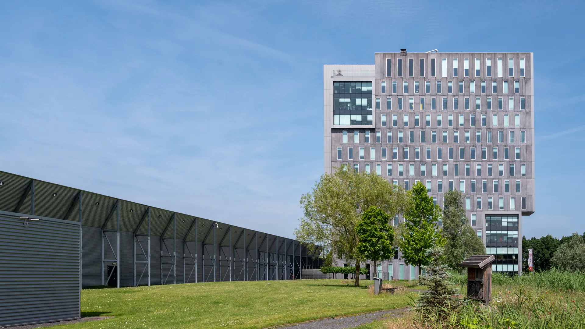 Project illustration